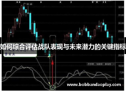 如何综合评估战队表现与未来潜力的关键指标