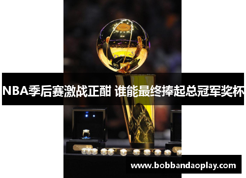 NBA季后赛激战正酣 谁能最终捧起总冠军奖杯