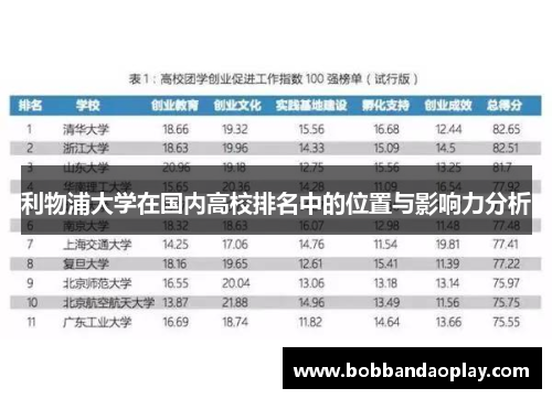 利物浦大学在国内高校排名中的位置与影响力分析